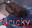 bricky