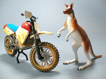 n2_bike_kangaroo.jpg - 14979 Bytes