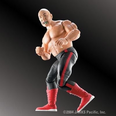 wwe action figure