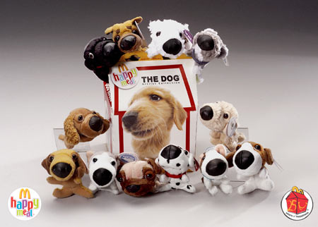 the dog toys