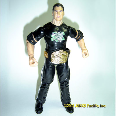 wwe action figure