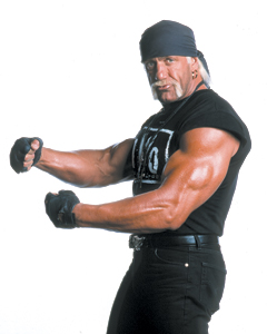 hollywood hulk hogan