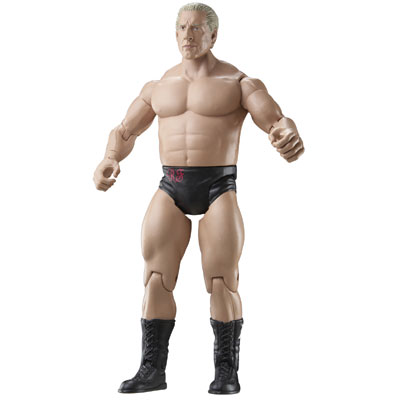 WWE Action Figures