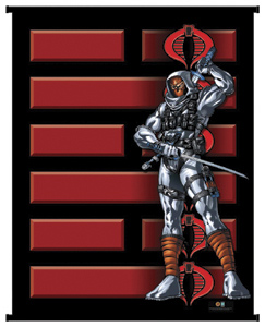 storm shadow wall scroll