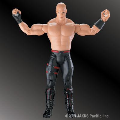 ruthless aggression action figure