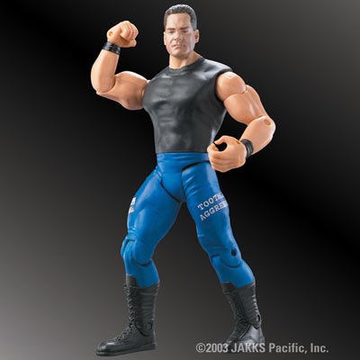 ruthless aggression action figure