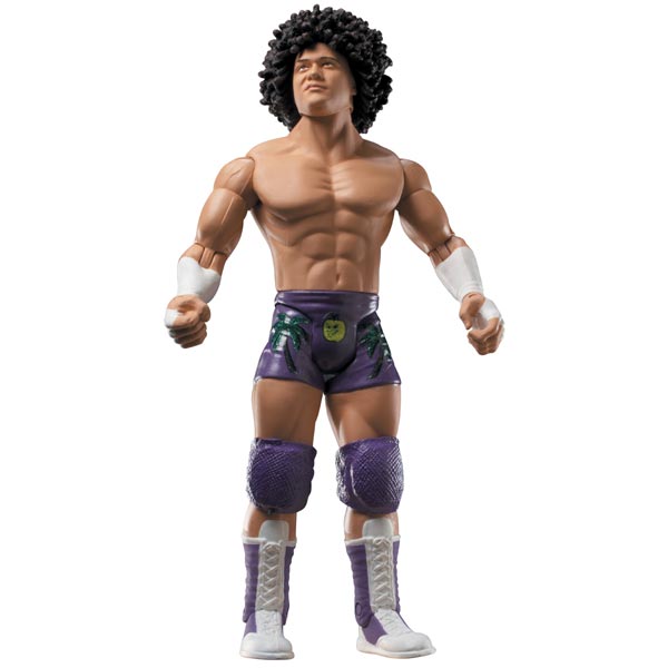 WWE Action Figures