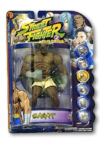 res_sf2_sagat_p2_pkg.jpg - 19979 Bytes