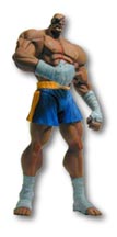 res_sf_sagat.jpg - 4566 Bytes