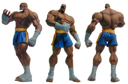 sagat3view.jpg - 21198 Bytes