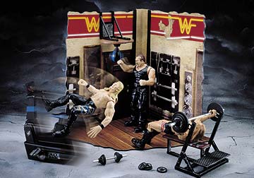 wwf_propbox_gym.jpg - 21324 Bytes