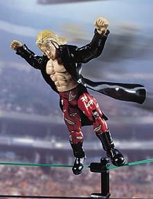 wwf_rulers_edge.jpg - 11366 Bytes