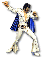 xtoys_elvis_sequin.gif - 13675 Bytes