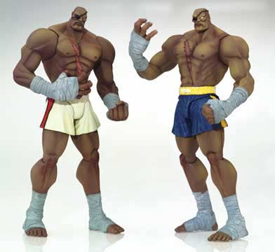 sagat toy